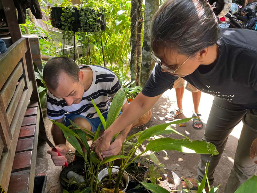 From Garden to Table: Indonesian Cooking Class in Yogyakarta - What makes this Yogyakarta cooking class special