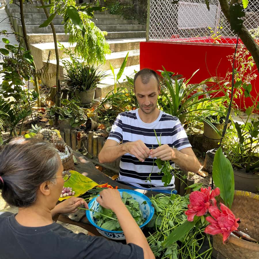 From Garden to Table: Indonesian Cooking Class in Yogyakarta - Preparing six dishes by hand