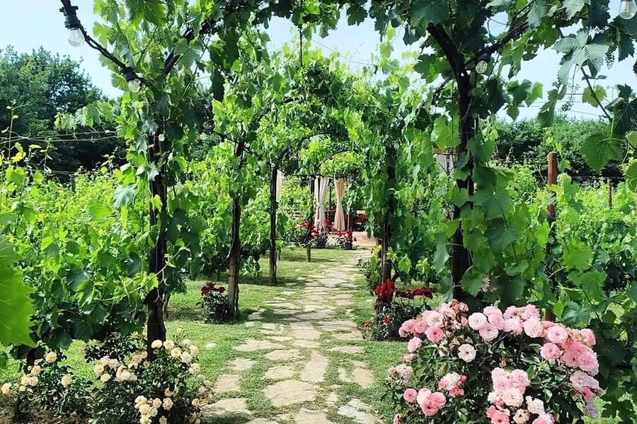 From Livorno: Authentic italian Pasta Cooking Class - A Tuscan lunch with eight wines