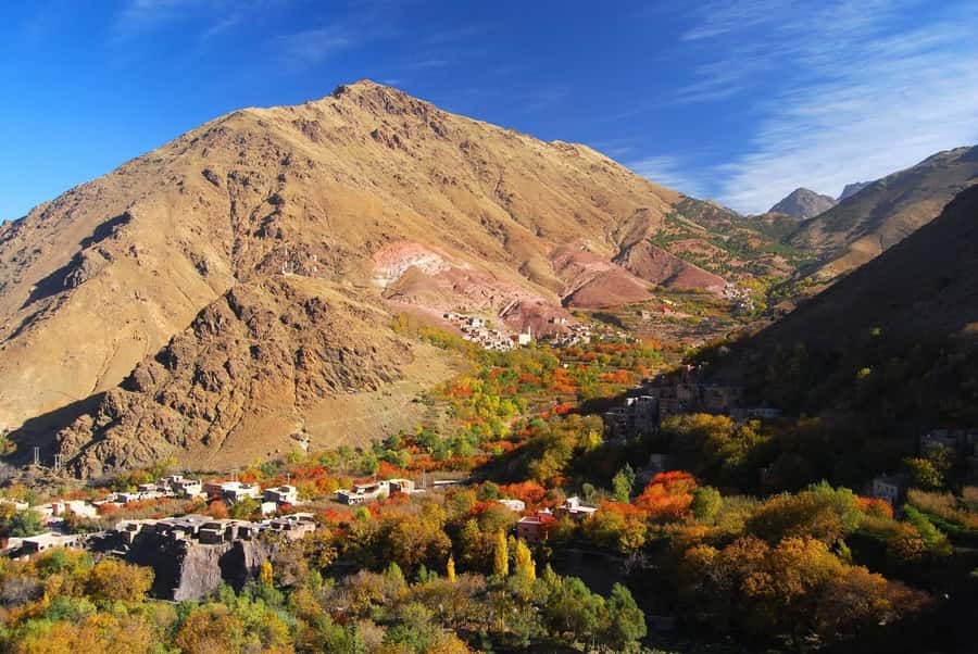 From Marrakech: High Atlas Berber Cooking Class - A short walk into Berber village life