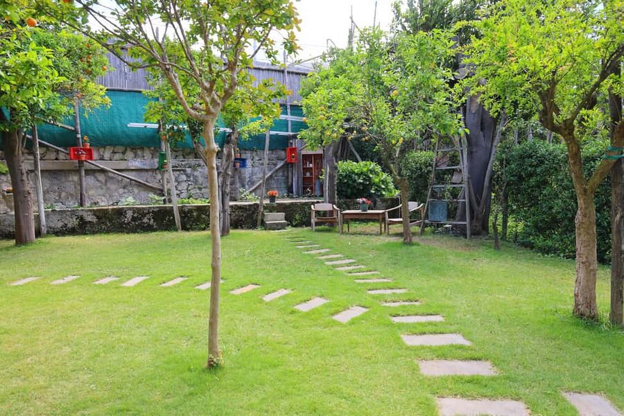 From Sorrento to Meta: cook with a local family and enjoy the garden!! - Key details at a glance