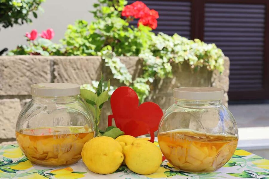 From Sorrento to Meta: cook with a local family and enjoy the garden!! - What the $94 price includes