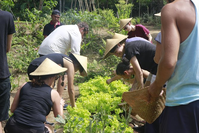 From Ubud: Authentic Bali Farm Cooking School & Organic Farm - Timing, weather, and small practical details