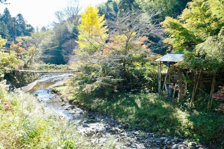 Fujieda: Suisha-mura Traditional Japanese Cooking Experience - A guide who makes the old methods approachable