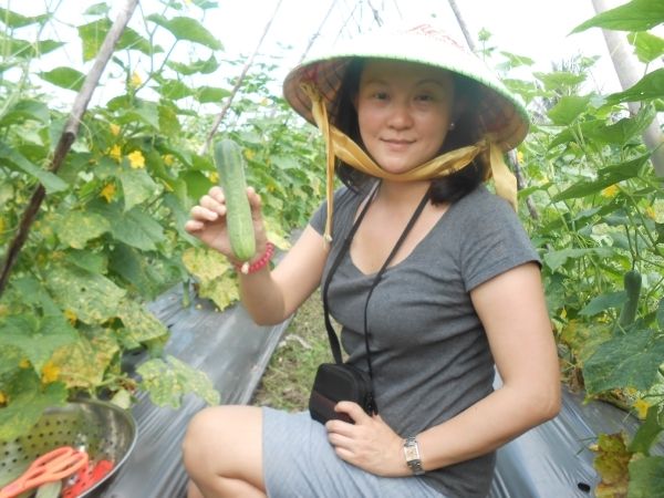 Full-Day Farming & Cooking class at Agricultural Village - Key points to know before booking
