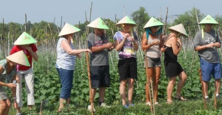 Full-Day Farming & Cooking class at Agricultural Village - From Ho Chi Minh City to Cu Chi’s farm country