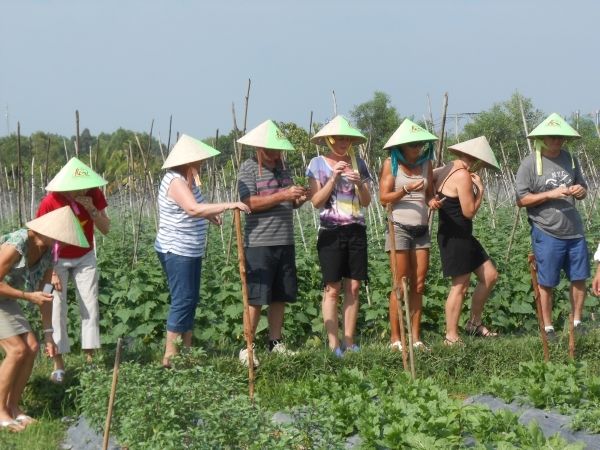 Full-Day Farming & Cooking class at Agricultural Village - Meeting the cattle and seeing the working gardens