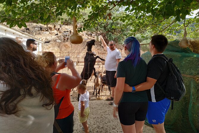 Full-Day Jeep Safari Tour with Cooking Lesson - Lasithi Plateau and its white-sailed windmills