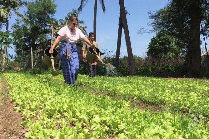 Full Day Siem Reap Farm Tour with Cooking Class and Monk Blessing - Key points at a glance