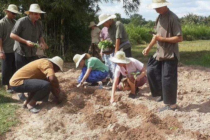 Full Day Siem Reap Farm Tour with Cooking Class and Monk Blessing - Timing, clothing, and physical comfort