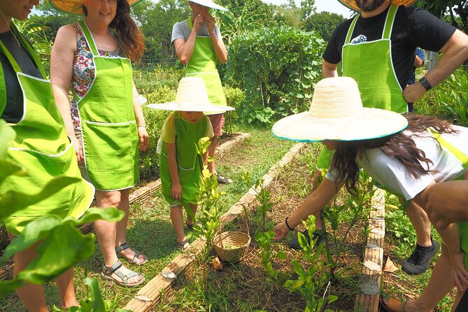 Full Day Thai Cooking at Farm (Chiang Mai) - Learning the ingredients before using them