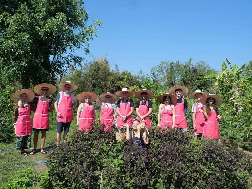 Full Day Thai Cooking Class in Organic Farm and Market - Should you book this Chiang Mai cooking class?