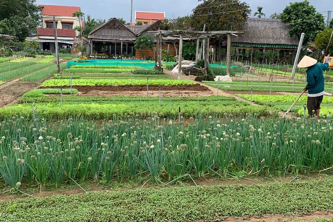 Full Experience Tour: Cooking Class & Basket Boat at Eco-Village - What the six-hour schedule really gives you
