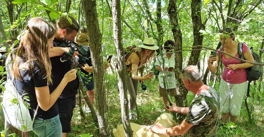 Gažon to Istria: Truffle Hunting, Cooking & Tasting - What you learn about real truffle flavor