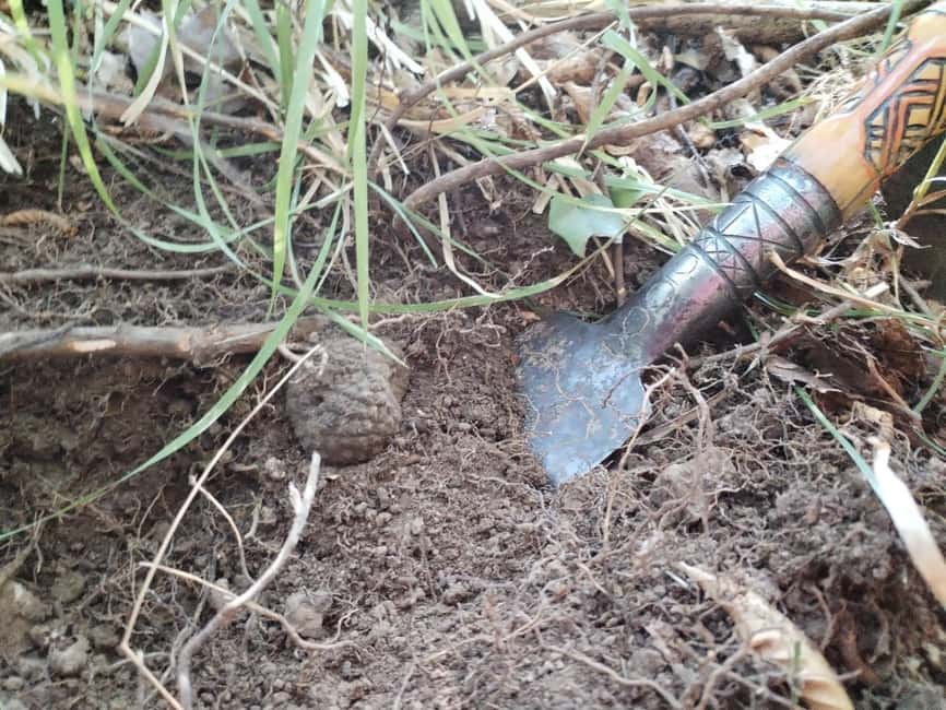 Gažon to Istria: Truffle Hunting, Cooking & Tasting - Practical details before you go