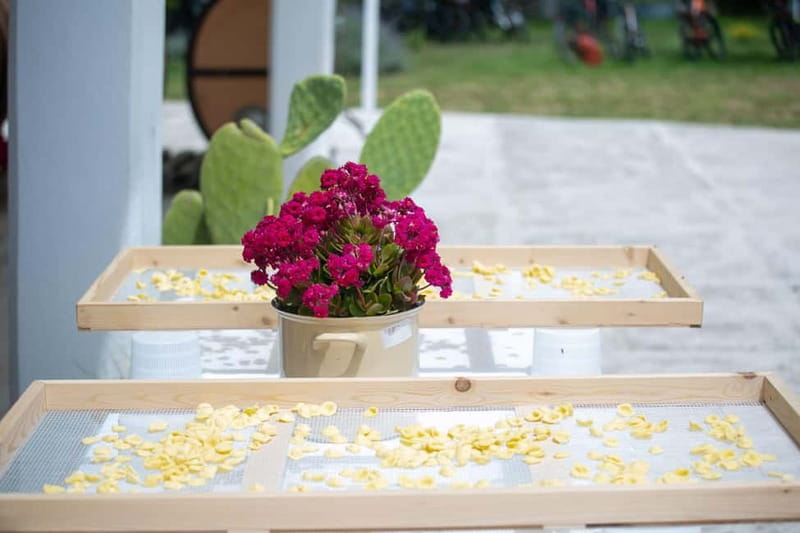 Gioia del Colle: Apulian Cooking Class in a Masseria - Timing, clothing, and practical details