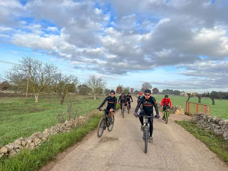 Gioia: E-Bike Ride and Cooking Class in Countryside - Why the e-bike makes sense for this route