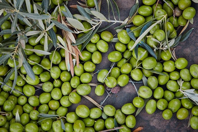 Gourmet Cooking Class & Culture in the rural Montes de Malaga. - Tapas, olive oil, sherry, and the long lunch