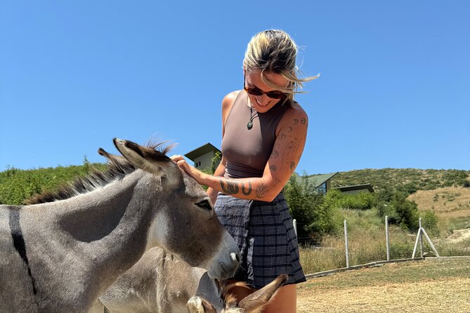 Gourmet Lunch Farm Tour with Cooking Class - Six courses and a farm-style Albanian meal