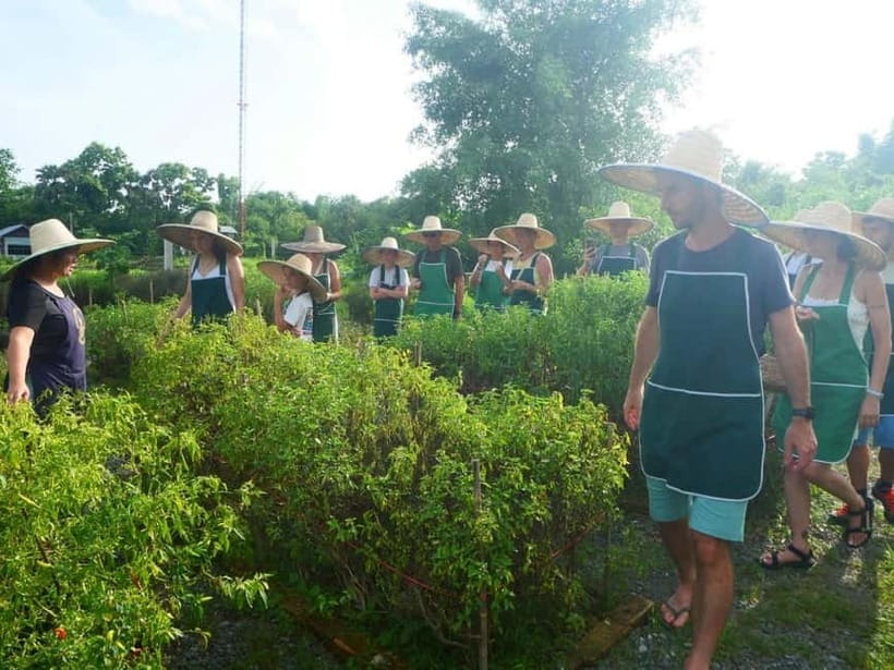 Half-Day Thai Cooking Class on a Local Farm Near Chiang Mai - What you actually cook during the class
