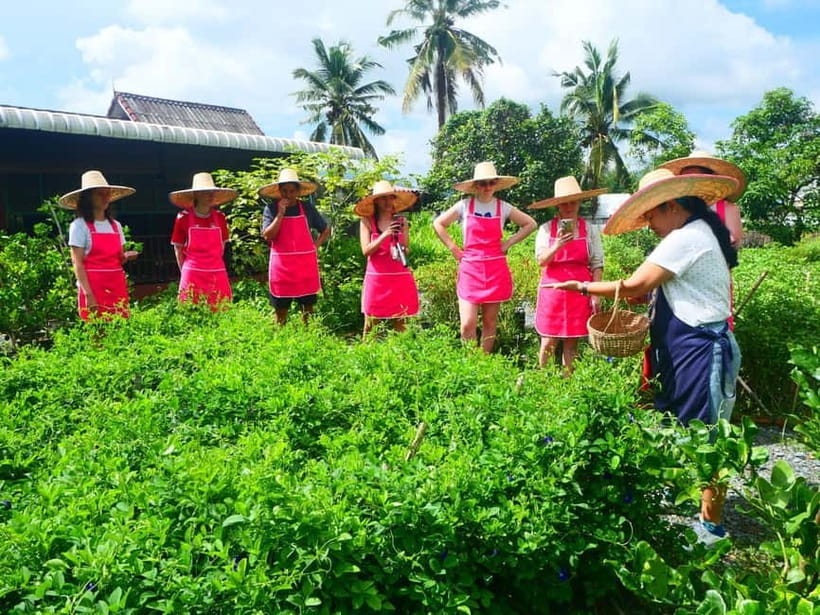 Half-Day Thai Cooking Class on a Local Farm Near Chiang Mai - A friendly class led by Louna