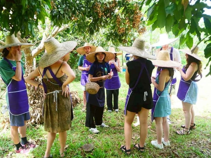 Half-Day Thai Cooking Class on a Local Farm Near Chiang Mai - The ride from Chiang Mai to the farm