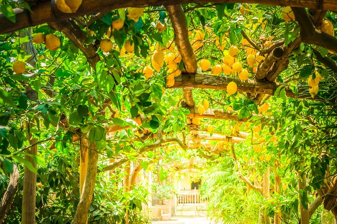 Hands-On Cooking Class & Farmhouse Tour on the Amalfi Coast - The people make the class