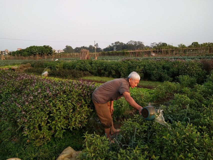 Hanoi Farm Tour and Cooking Class with Local Family - Who will enjoy this half-day