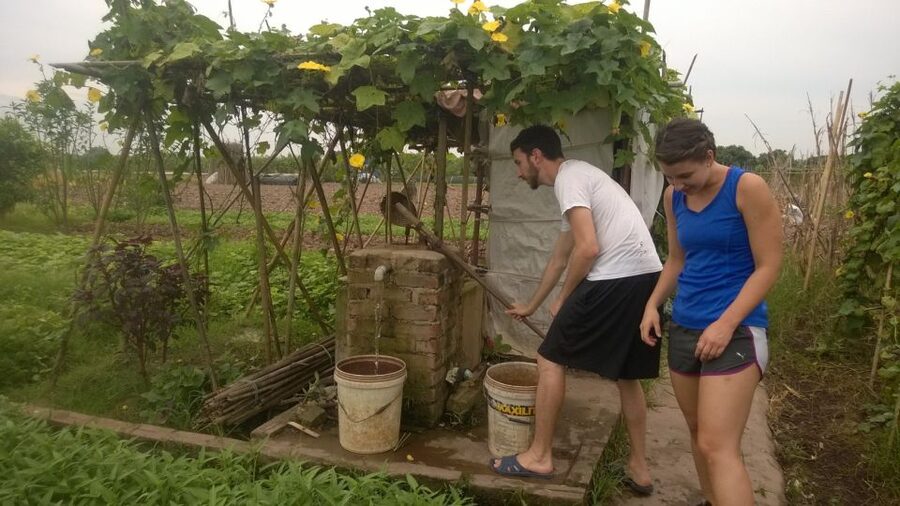 Hanoi Farm Tour and Cooking Class with Local Family - Should you book the Hanoi farm and cooking tour?