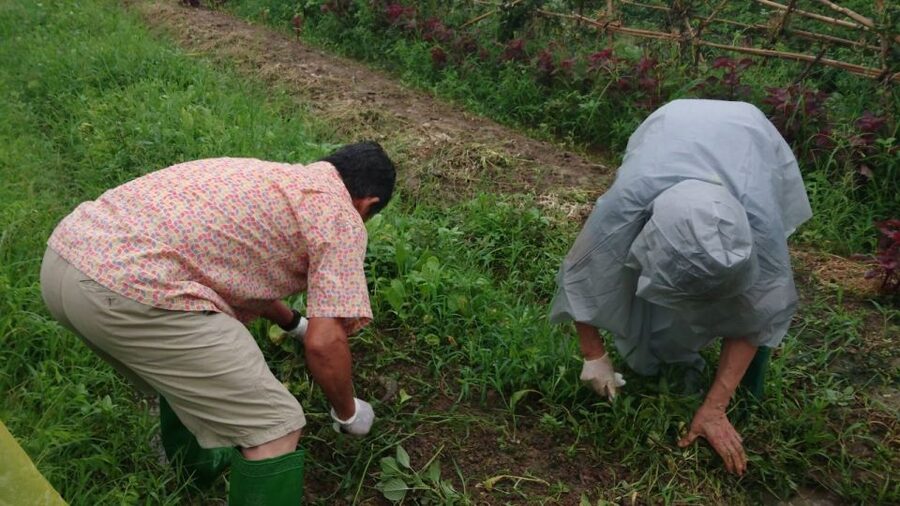 Hanoi: Village Farm Tour and Cooking Class with Lunch - Who Will Enjoy This Day Most