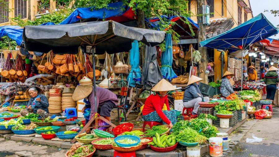 Hoi An: Authentic Cooking class in organic Herb Village - The 20-Minute Ride Through Rice Fields