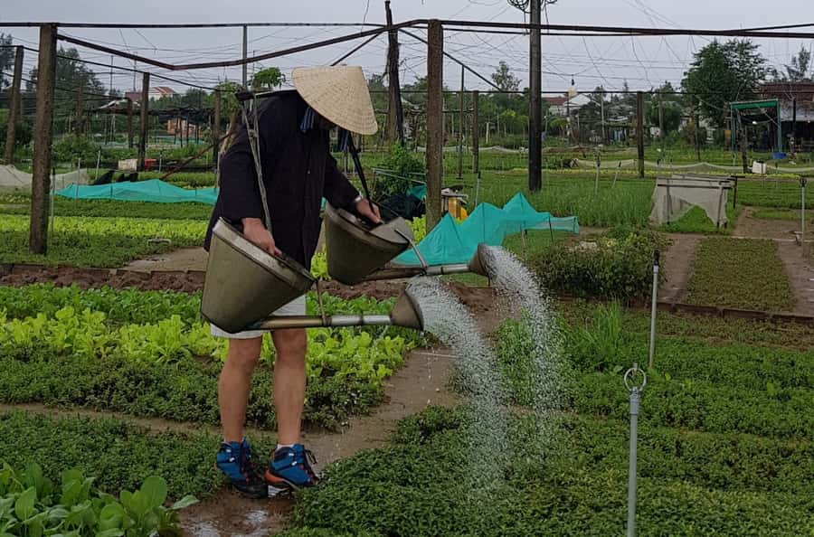 Hoi An Cooking Class With Market and Bamboo Basket Boat Tour - Why this Hoi An food tour is worth your morning