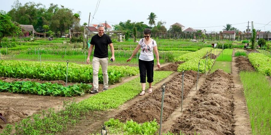 Hoi An Countryside Bicycle Tour - Farming - Cooking Class - Cooking banh xeo, spring rolls, and tam huu salad