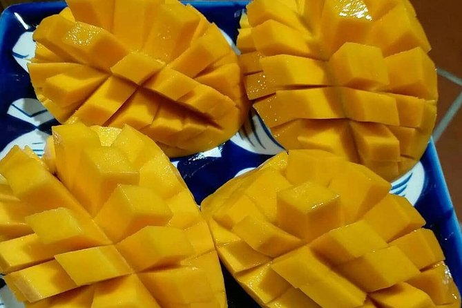 Hoi An/Da Nang: Vegetarian Cooking Class & Basket Boat Ride - Four Vietnamese dishes, not just a demonstration