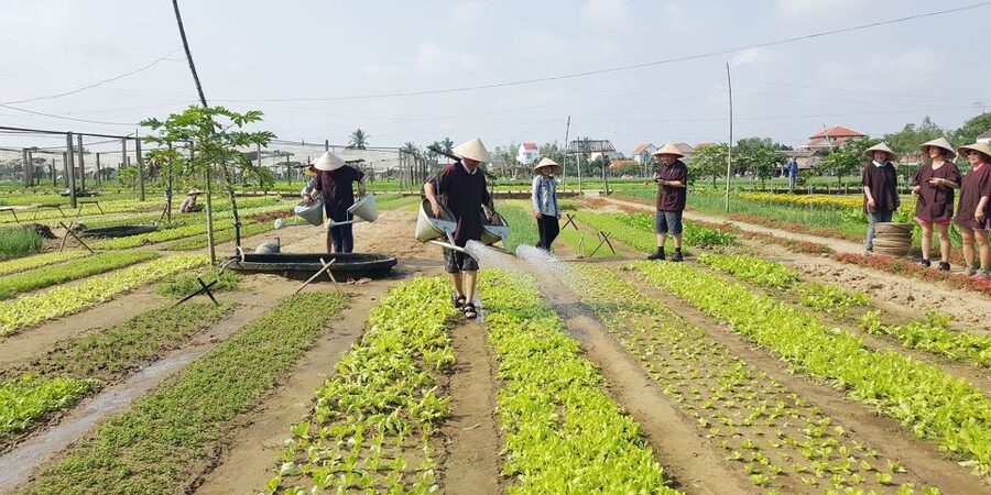 Hoi An: Evening Cooking Class with Locals in Herbs Village - Should you book the Tra Que cooking class?