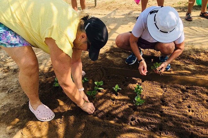 Hoi An Local Market and Vegetable Village Cooking Class - Cam Thanh turns the ingredients into lunch