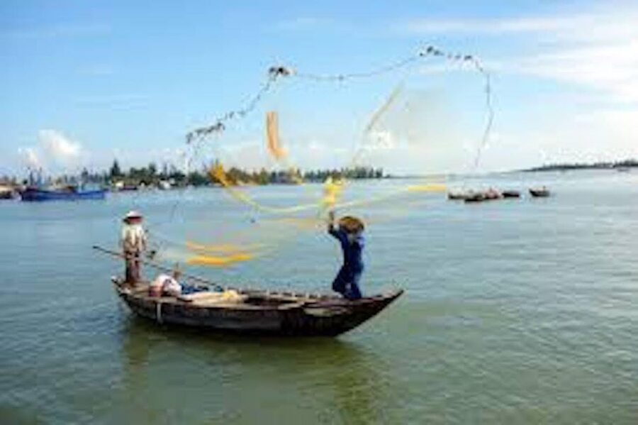 Hoi An: Market tour - Cam Thanh Cooking Class & Basket Boat - Should you book it?