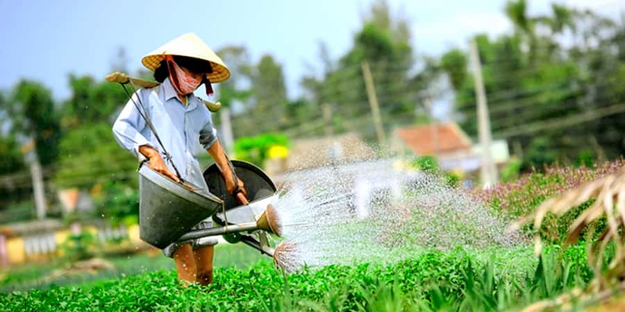 Hoi An: Tra Que Herb Village Cooking Class - Who Will Enjoy This Class Most