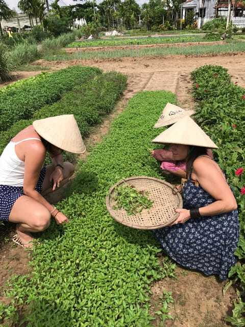 Hoian/Da Nang: Fishing, basket riding and cooking class - FAQ