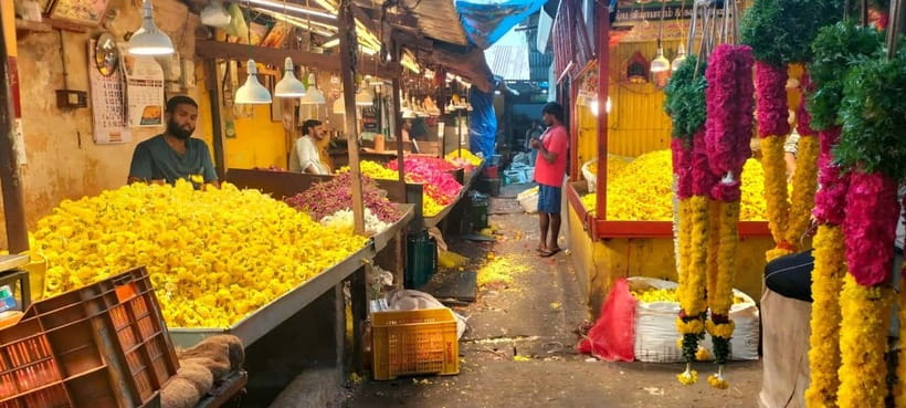 Indian Cooking & Market Tour in Pondicherry with Manisha Ray - Begin at Goubert Market with Manisha