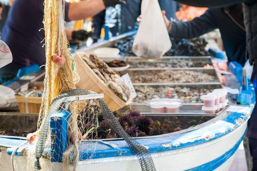 Ischia: Market, Cooking Demo & Meal at a Local's Home - Four courses at an Italian family table