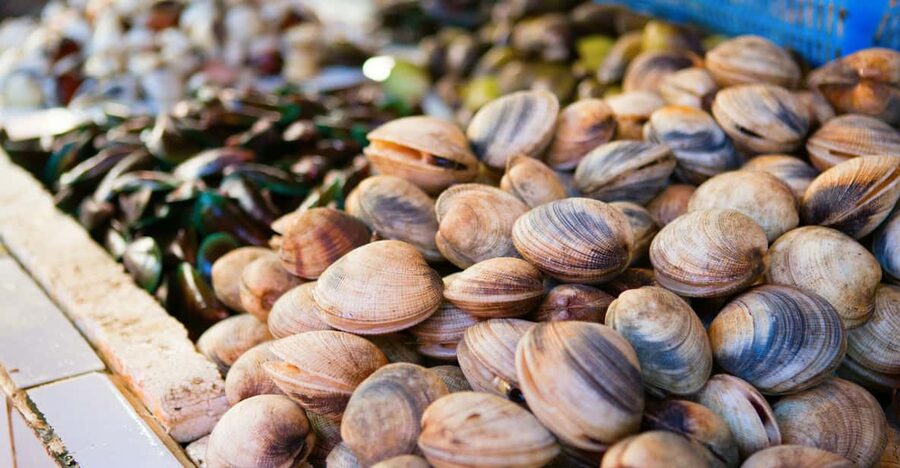 Ischia: Market Tour & Cooking Class at a Local's Home - Key points to know before booking