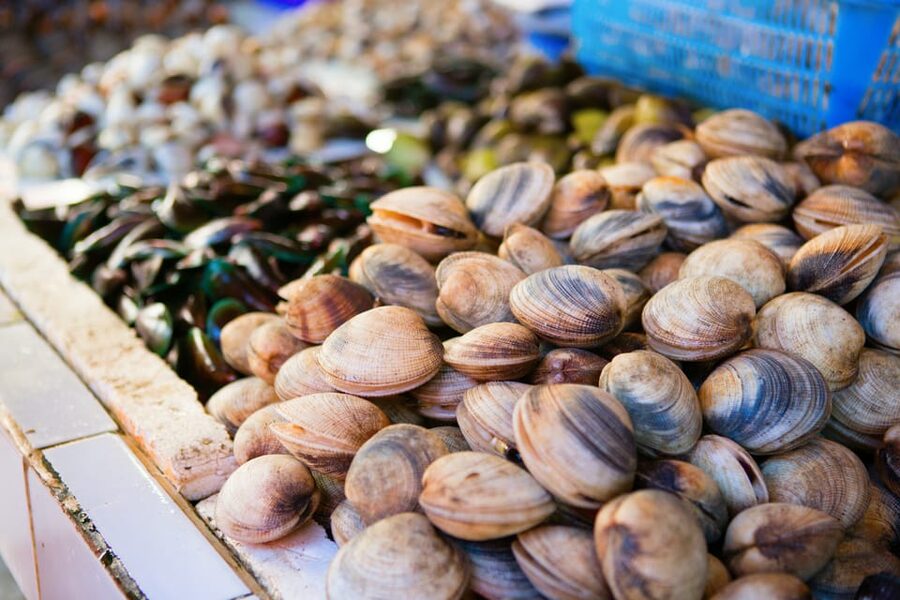 Ischia: Market Tour & Cooking Class at a Local's Home - Cooking three recipes, not just watching