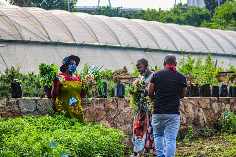 Johannesburg: Pan-African Cooking & Dinning Experience - Should you book it?