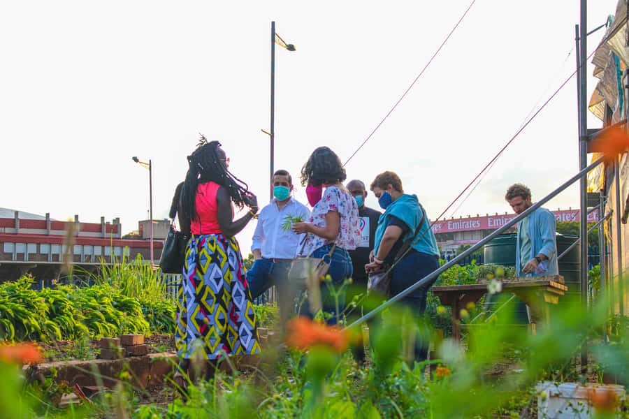 Johannesburg: Pan-African Cooking & Dinning Experience - Cooking across African food traditions
