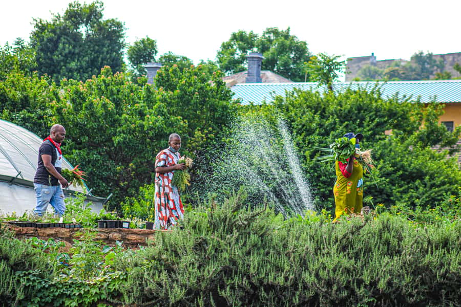 Johannesburg: Pan-African Cooking & Dinning Experience - Dinner, local drinks, and stories around the table