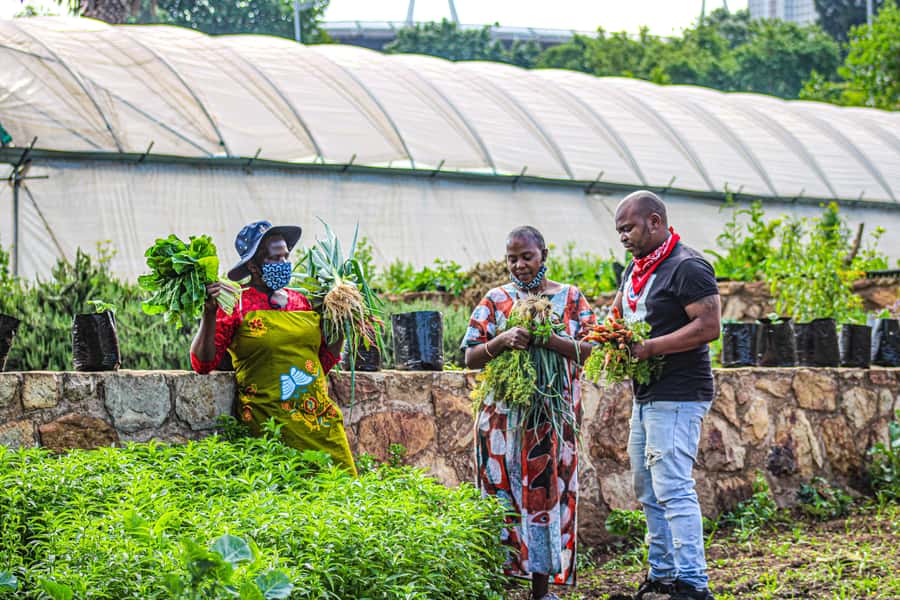 Johannesburg: Pan-African Cooking & Dinning Experience - Who should book this Johannesburg food experience?