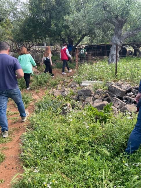 Kalamata: Farm-to-Table Experience with Cooking - Timing, weather, and what to bring