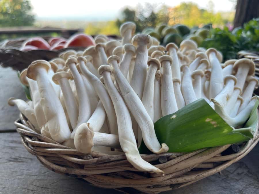 Koh Samui: Evening Thai Cooking Class with Organic Garden - Booking, pickup, and useful planning tips