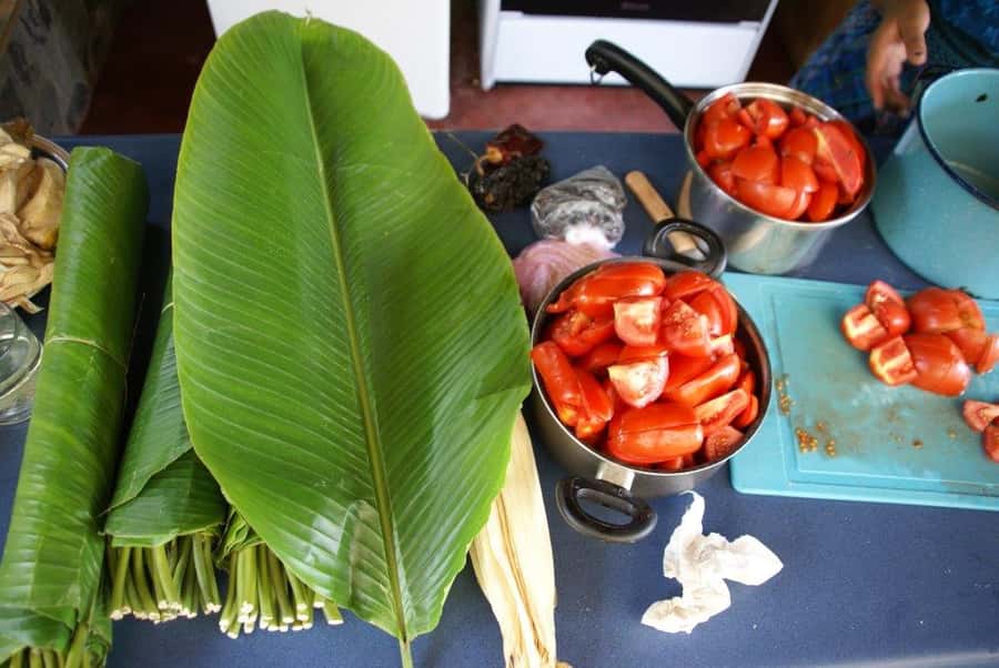 Lake Atitlan Maya Kitchen: 3-Hour Cooking Class - A three-hour lesson with up to three dishes